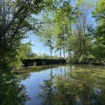 Bords de sèvre