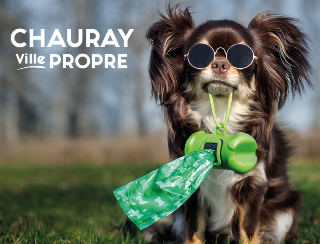 2025_Gabarit Actu - Stop incivilités Chien A