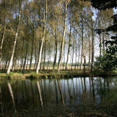 Bords de sèvre