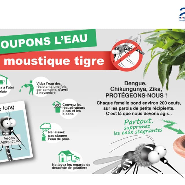 Moustique - Coupons Eau 1