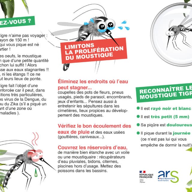 Moustique - Coupons Eau 2