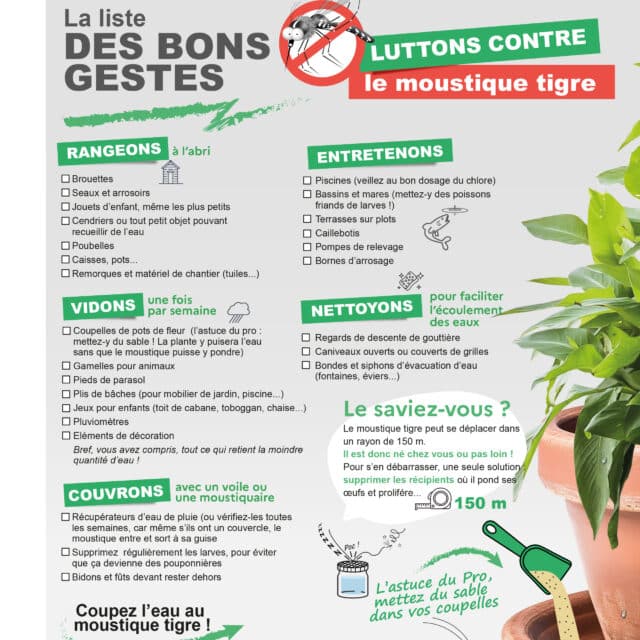 Moustique - Liste Bons Gestes A Adopter