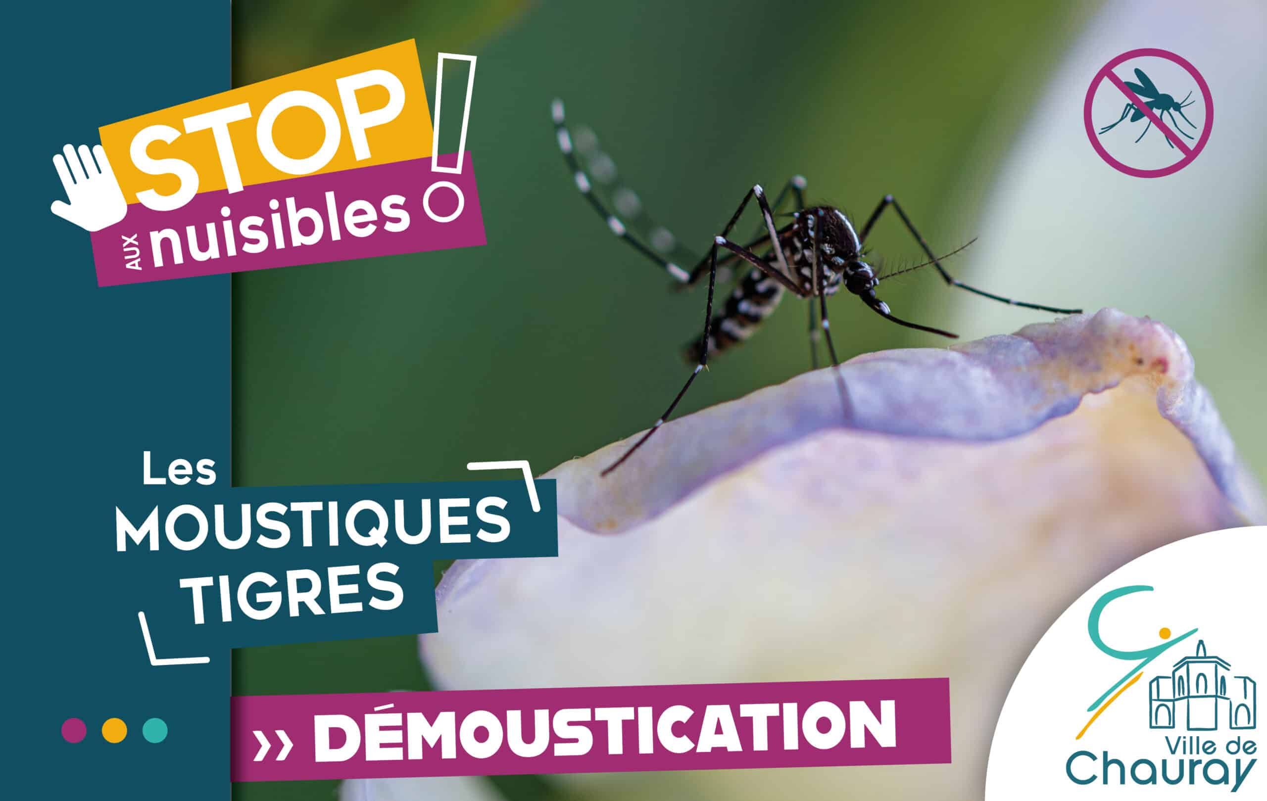 2025_Visuels - STOP aux nuisibles - Moustique tigre
